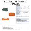 27 06 2024 04 54 15 876 VEU0077.010.png