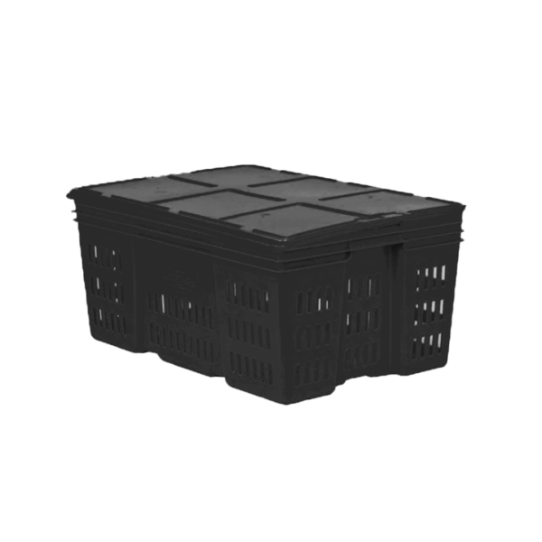 10 04 2024 06 15 06 193 VEU0036.006.png