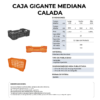27 06 2024 04 54 15 119 VEU0077.006.png