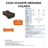 27 06 2024 04 54 15 672 VEU0077.009.png